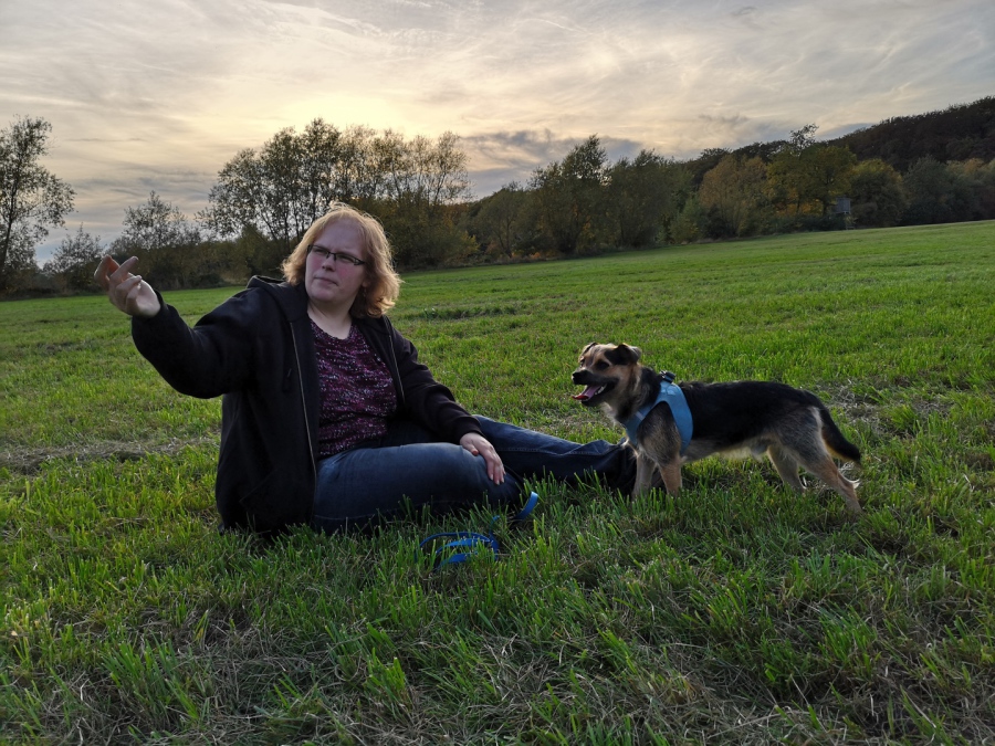 Hundetrainer der Hundeschule Traum-Hunde sitzt in Gladbeck auf einem Feld und erklärt den Hundebesitzern etwas